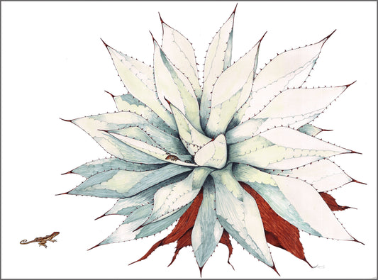 Agave and Brown Anoles