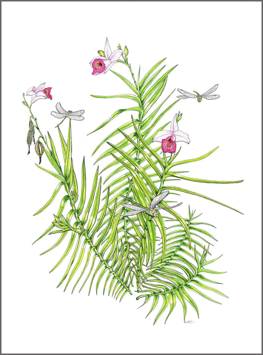 Bamboo Orchid and Dragonflies- SOLD