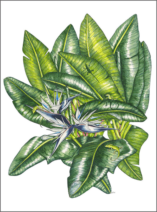 Bird of Paradise and Green Anoles