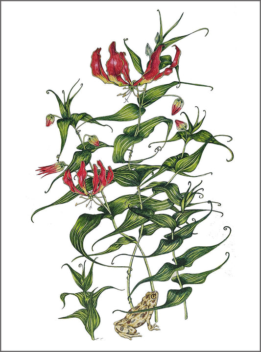 Gloriosa Lily and Toad
