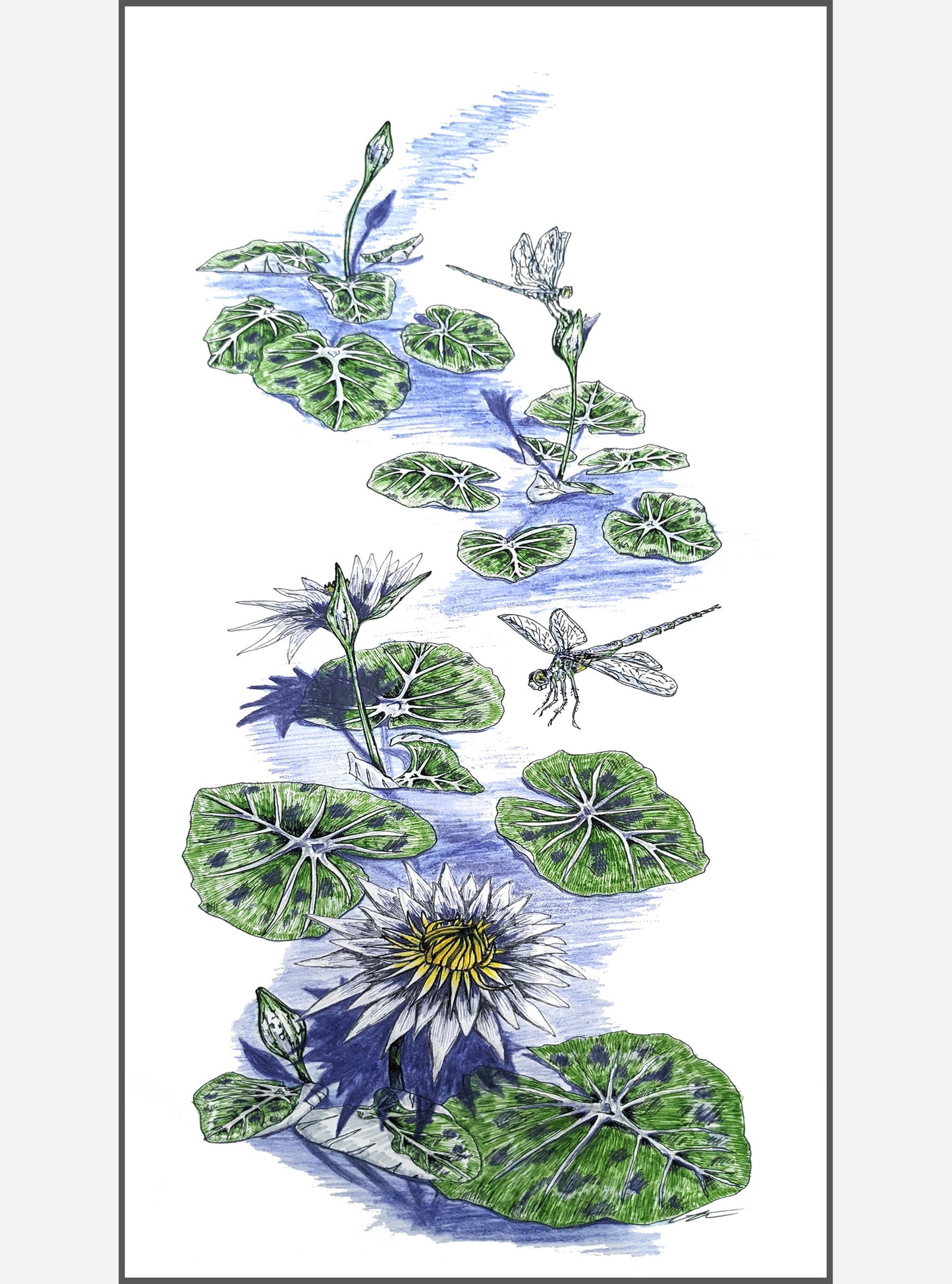 Waterlilies and Dragonflies- SOLD