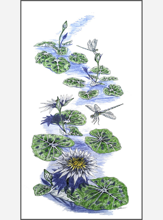 Waterlilies and Dragonflies- SOLD