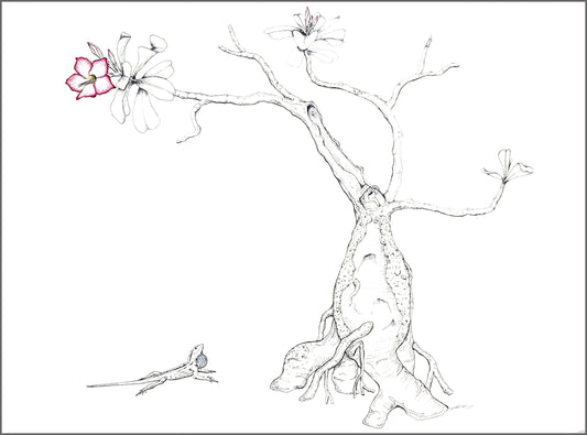 Adenium and Anole